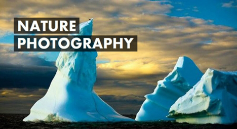Nature photography-image